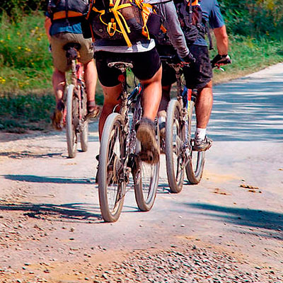 Foto of Tour BIKING TOUR