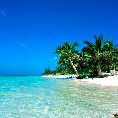 Foto of Tour ONE DAY IN THE PARADAISE