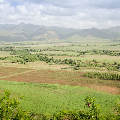 Foto of Tour VALLE DE LOS INGENIOS EXCURSION