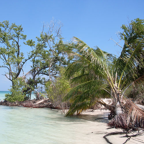 Foto of city Cayo Levisa